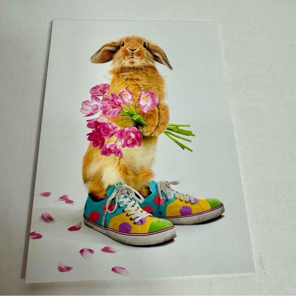 4 Avanti Greeting cards - bunny rabbit in colorful sneakers
Holiday: Easter
